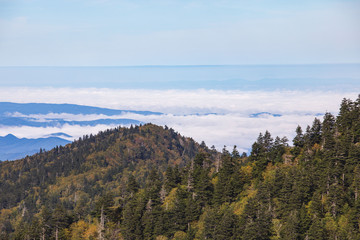 Scenics in the Great Smoky Mountains from Alum Cave trail to Mount Le Conte
