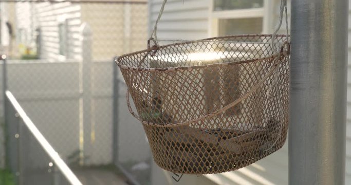 A Old Hanging Basket 4K.