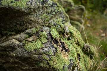Rocks in House Mountain in Knoxville, Tennessee - obrazy, fototapety, plakaty