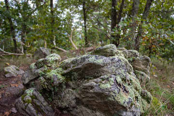 Rocks in House Mountain in Knoxville, Tennessee