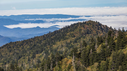 Scenics in the Great Smoky Mountains from Alum Cave trail to Mount Le Conte