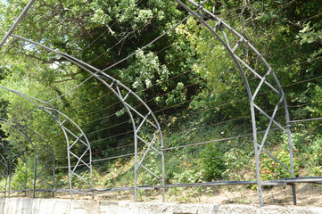 Metal arched trellis for growing climbing flowers, roses, grapes