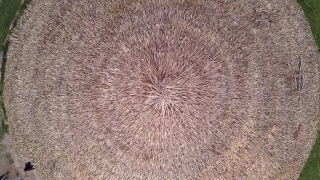Drone top down view of a textured roof made with dry grass of a mud house in an under developed Brazillian village Nova Morada, drone rising,