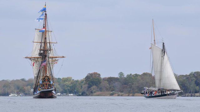 Cinemagraph of tall ships down rigging in Chestertown, Maryland, with the motion of the water and flags.