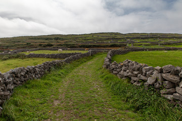 Inishmore Farm