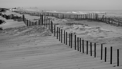 Black and white beach scene landscape - Powered by Adobe