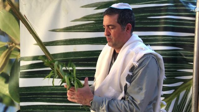 Jewish man blessing on the four species (etrog,lulav ,hadass,aravah) in a sukkah or succah during the week-long Jewish festival of Sukkot.
