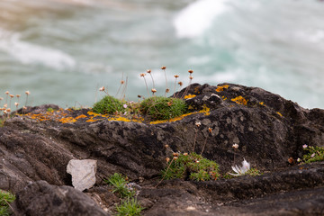 Coumeenoole Cliff