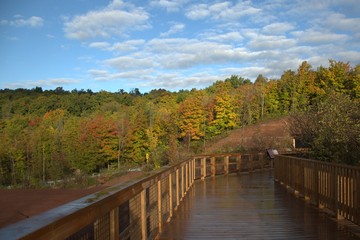 bridge over the river