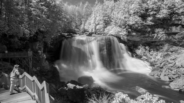 Black and white cinemagraph of someone watching from a boardwalk, Blackwater Falls pours water through a gorge in West Virginia.