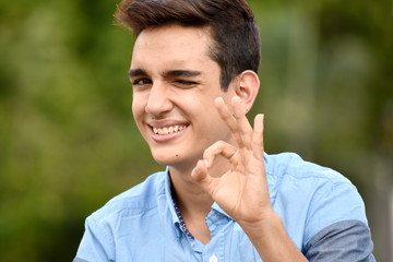 Youngster And Okay Sign