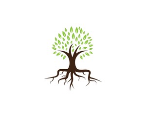Tree icon logo template