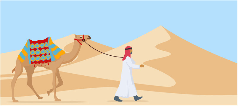 young arab guy walking his camel trough desert