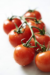 Fresh cherry tomato