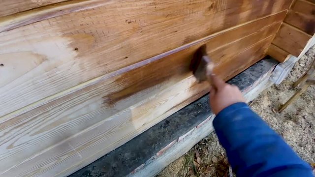 Linseed oil coating, painting the walls of a wooden house for the preservation, beauty and aesthetics in the operating conditions of living in the house 