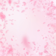 Sakura petals falling down. Romantic pink flowers vignette. Flying petals on pink square background.