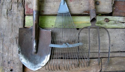 old tools of the garden. fan rake, shovel, pitchfork on old wooden boards