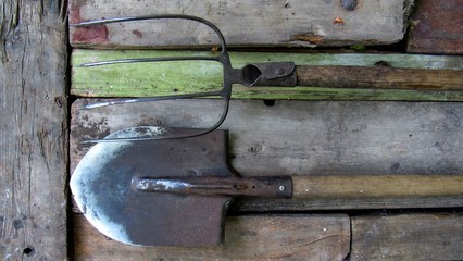 old tools of the garden. dirty shovel, pitchfork on old wooden boards