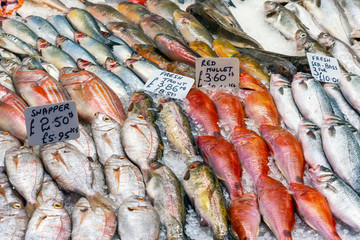 Fototapeta premium Fresh fish for sale at a market in London, Great Britain