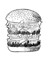 illustration of a burger. Hand drawn food illustration.
