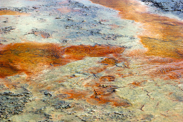  Salty pink lake. The texture of the surface of a salt lake. The shore of a salty pink lake with wooden elements. 