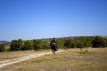 Obraz premium Rider on a horse. Horse in the open field with a rider. Home horse riding. Driving the horse reins. 