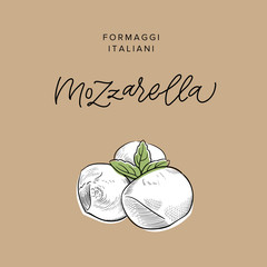 traditional Italian baby mozzarella cheese vintage engraving illustration with its name calligraphy on craft paper background