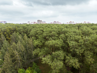 Fototapeta na wymiar aerial panoramic view of park landscape with lake and green high trees