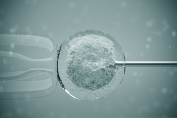 In vitro fertilization of a human female cell on a gray background. Microscopic view. IVF. Close up. 3d rendering