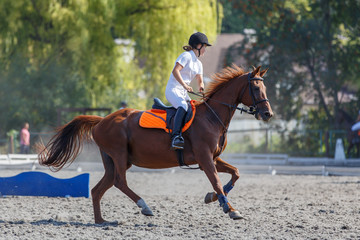 Young horse rider girl galloping on her course