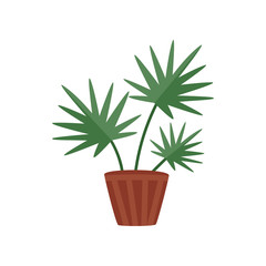 Flat vector icon of plant with wide green leaves in brown ceramic pot. Decorative houseplant. Indoor gardening