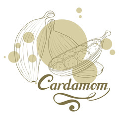 hand drawn cardamom plant, spicy ingredient, cardamom logo, healthy organic food, spice cardamom isolated on white background, culinary herb, label, food, natural health food, vector graphic to design
