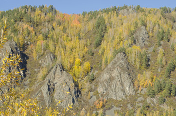 Autumn landscape with bright colors forest on the Bank of the slope in autumn leaves
