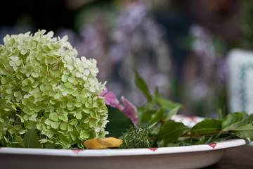 Dekoration mit Hortensie