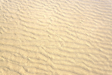 Seamless sand background. Sand texture. Sandy beach for background.