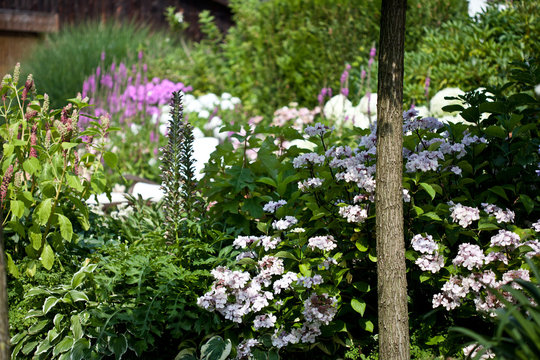 Staudengarten