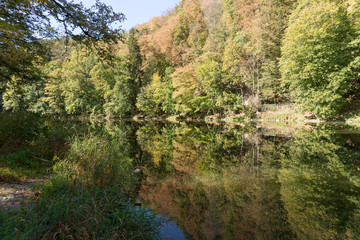 Fototapeta na wymiar Reflection of trees in the lake in autumn