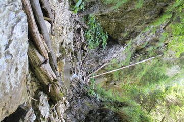 Canyon Kláštorská roklina in Slovenský raj (Slovak Paradise National Park),Slovakia