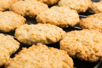 Homemade oatmeal cookies on baking pan