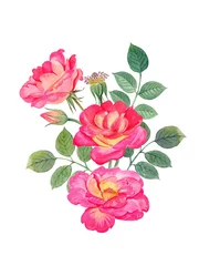 Gardinen rosa Rosen © daria