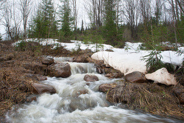 melt water runoff in spring forest