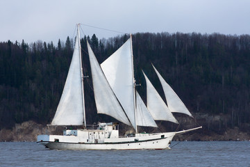 schooner goes past the forest shore