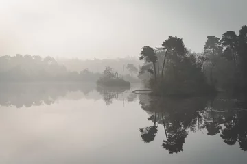 Foto auf Leinwand Misty morning fog over lake with trees in reflection. Ochtend mist over ven in de Oisterwijkse bossen en vennen. © Peter Nolten
