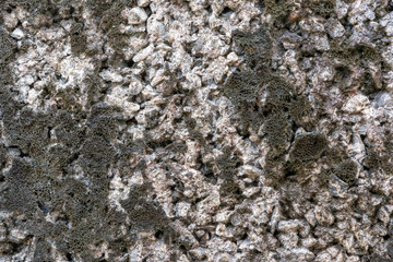 Macro view Stone Brick Wall with moss texture background.