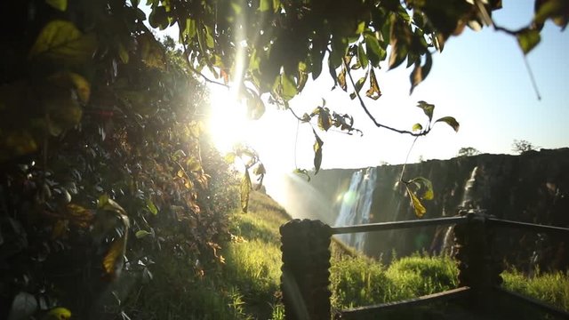 Sun and waterfall view through tree