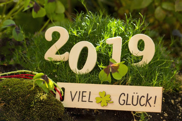 2019 VIEL GLÜCK Schriftzug in Hintergrund aus Moos und Klee