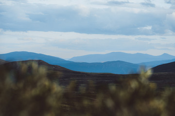 The Dovrefjell mountain area