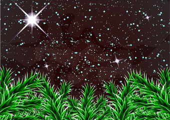 Fototapeta na wymiar A night Christmas sky, a bright star, branches of a New Year tree.