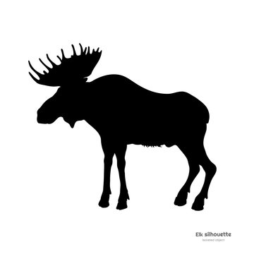 Black silhouette of elk. Isolated image of deer on white background. Wild animal of North America