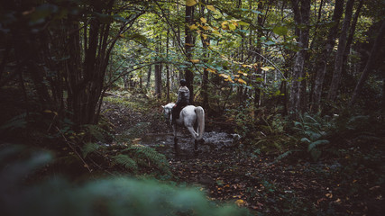 A girl and her horse